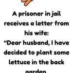 A prisoner receives a letter from his wife