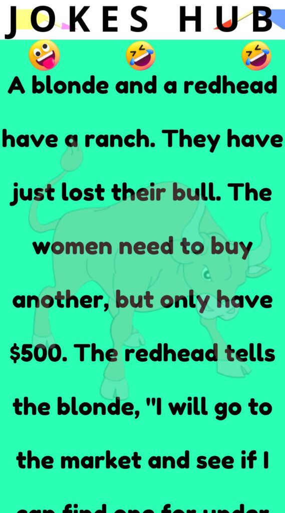 They have just lost their bull